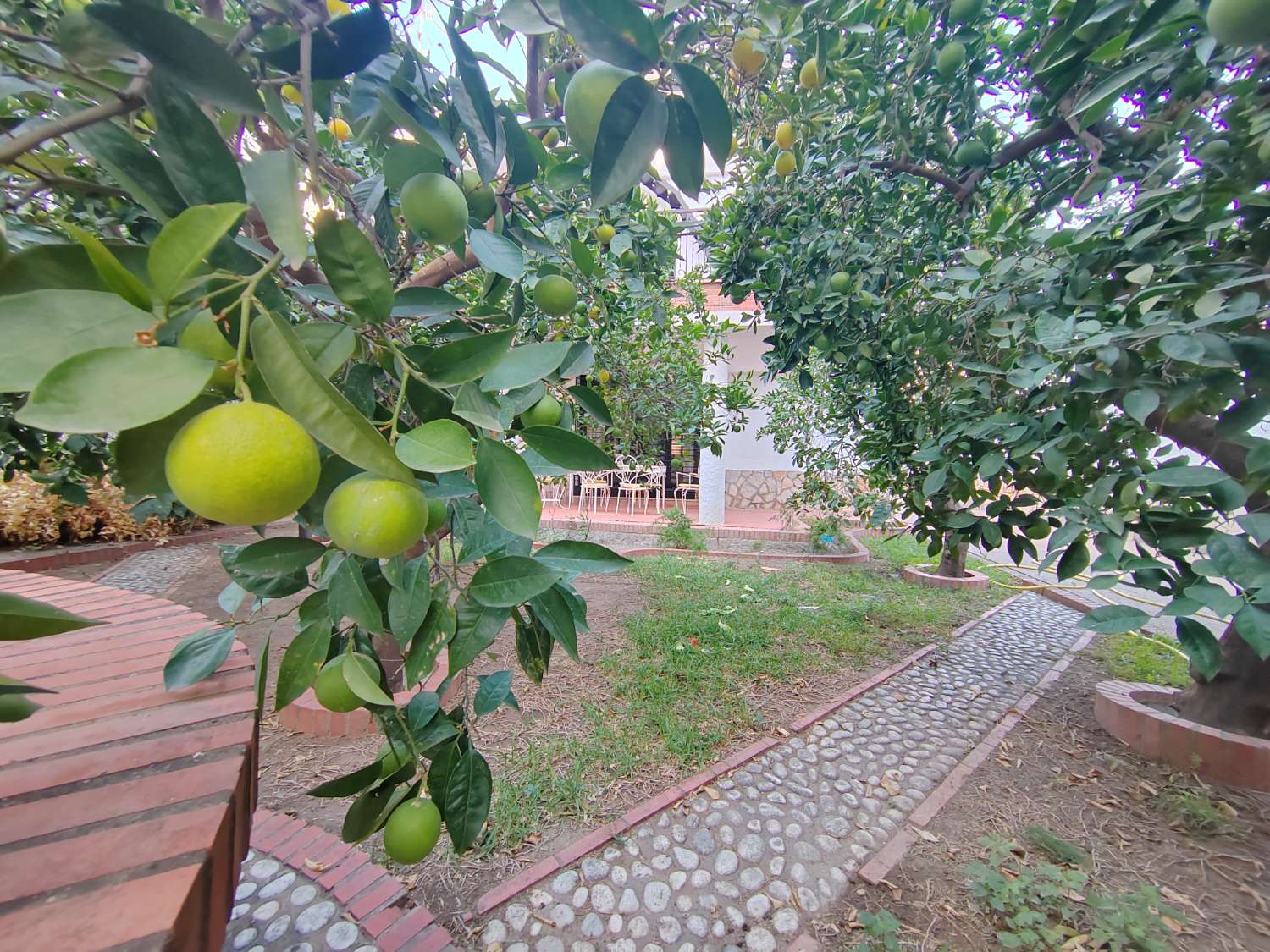 Freistehendes Haus mit Parkplätzen im Zentrum von Vélez-Málaga – 229 m² gebaut auf einem 344 m² großen Grundstück